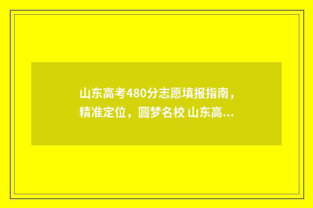山东高考480分志愿填报指南，精准定位，圆梦名校 山东高考分数480分能上一本吗