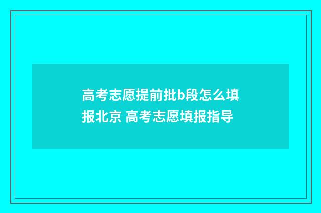 高考志愿提前批b段怎么填报北京 高考志愿填报指导