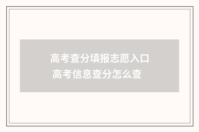 高考查分填报志愿入口 高考信息查分怎么查