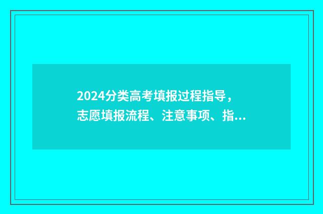 2024分类高考填报过程指导，志愿填报流程、注意事项、指南 2021年高考分类招生
