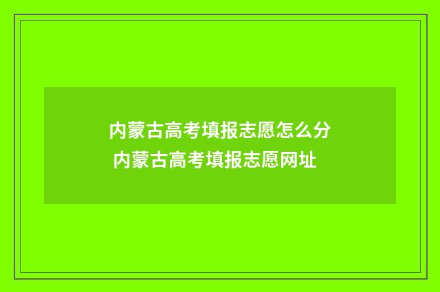内蒙古高考填报志愿怎么分 内蒙古高考填报志愿网址