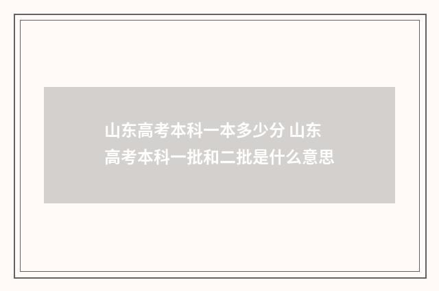 山东高考本科一本多少分 山东高考本科一批和二批是什么意思