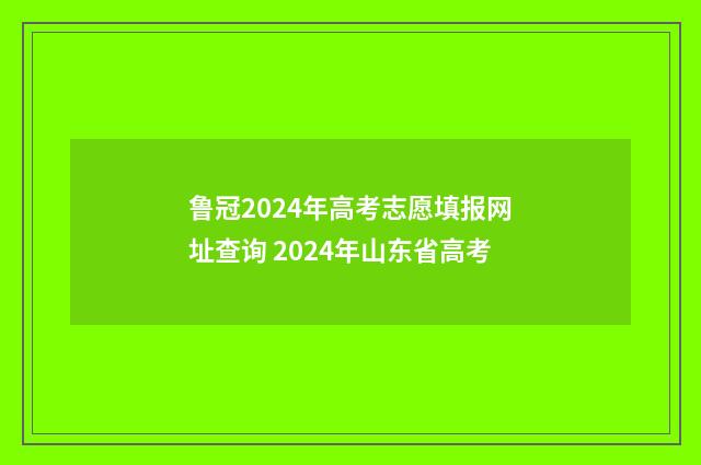 鲁冠2024年高考志愿填报网址查询 2024年山东省高考