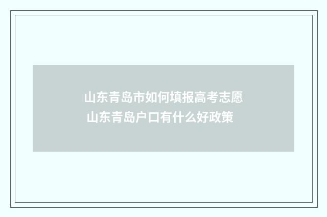 山东青岛市如何填报高考志愿 山东青岛户口有什么好政策