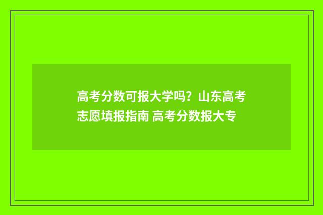 高考分数可报大学吗?山东高考志愿填报指南 高考分数报大专