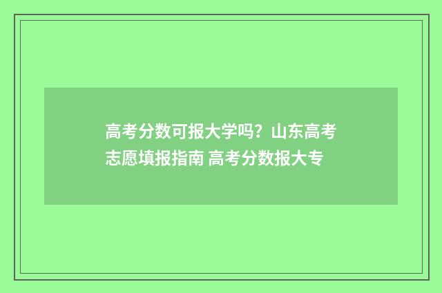 高考分数可报大学吗?山东高考志愿填报指南 高考分数报大专