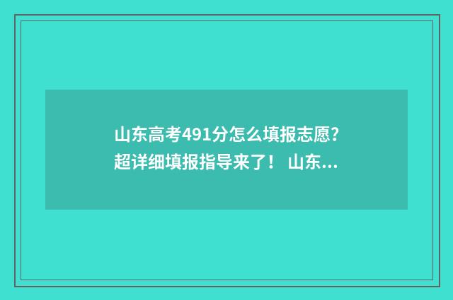 山东高考491分怎么填报志愿？超详细填报指导来了！ 山东高考491能上啥大学
