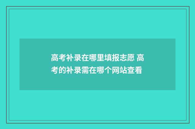 高考补录在哪里填报志愿 高考的补录需在哪个网站查看