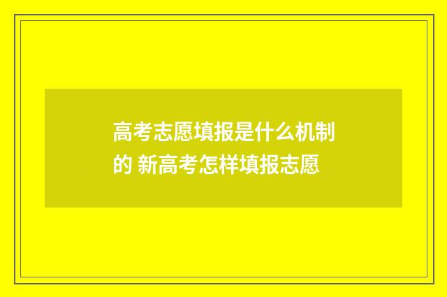 高考志愿填报是什么机制的 新高考怎样填报志愿