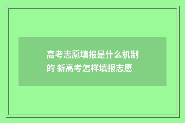 高考志愿填报是什么机制的 新高考怎样填报志愿