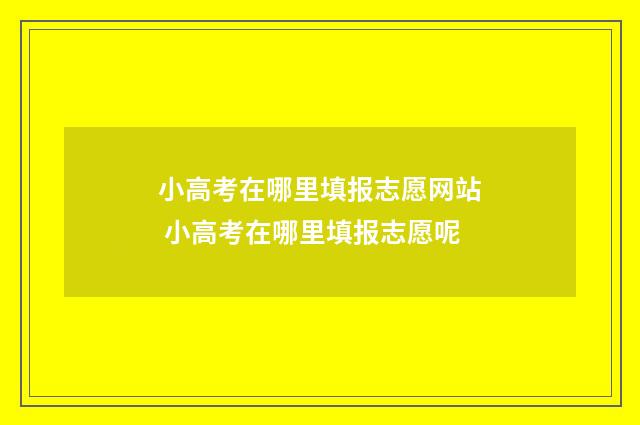 小高考在哪里填报志愿网站 小高考在哪里填报志愿呢