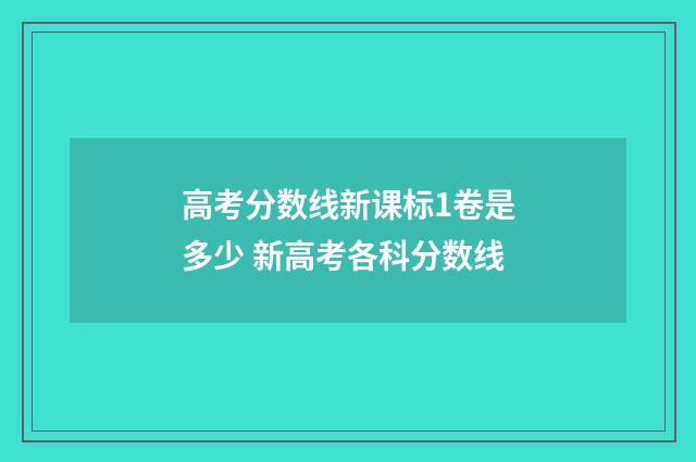 高考分数线新课标1卷是多少 新高考各科分数线