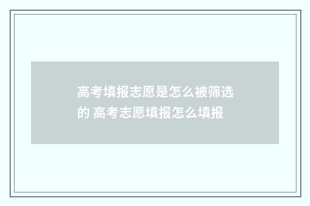 高考填报志愿是怎么被筛选的 高考志愿填报怎么填报