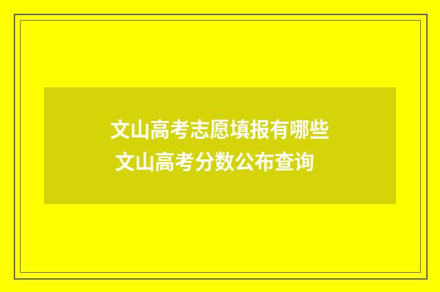 文山高考志愿填报有哪些 文山高考分数公布查询