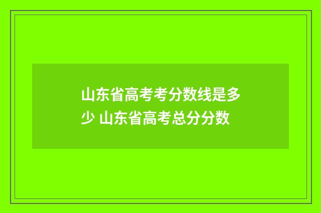 山东省高考考分数线是多少 山东省高考总分分数