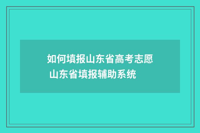 如何填报山东省高考志愿 山东省填报辅助系统