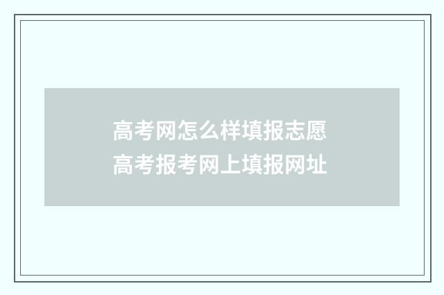 高考网怎么样填报志愿 高考报考网上填报网址