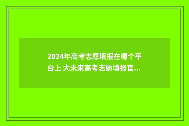 2024年高考志愿填报在哪个平台上 大未来高考志愿填报官网