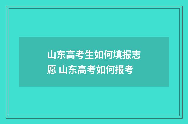 山东高考生如何填报志愿 山东高考如何报考