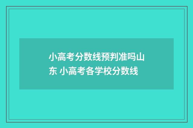 小高考分数线预判准吗山东 小高考各学校分数线