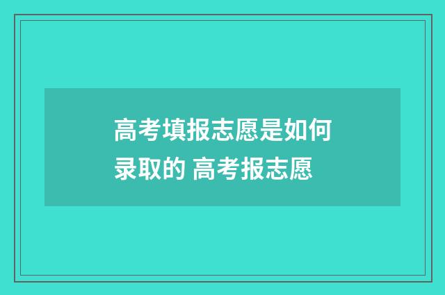 高考填报志愿是如何录取的 高考报志愿