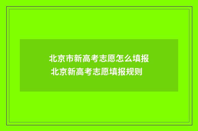 北京市新高考志愿怎么填报 北京新高考志愿填报规则