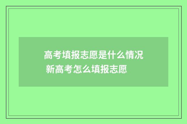 高考填报志愿是什么情况 新高考怎么填报志愿