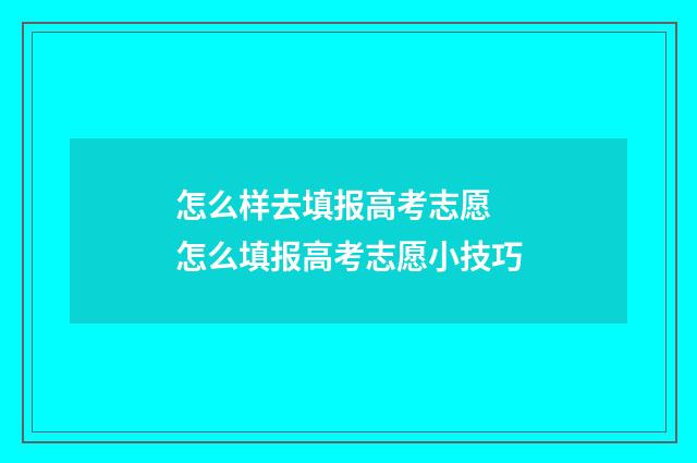 怎么样去填报高考志愿 怎么填报高考志愿小技巧