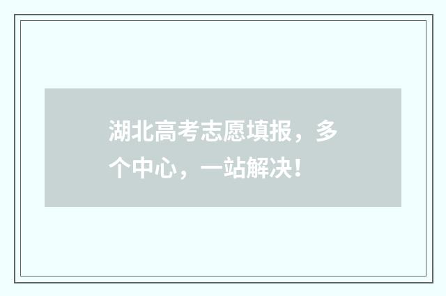 湖北高考志愿填报，多个中心，一站解决！