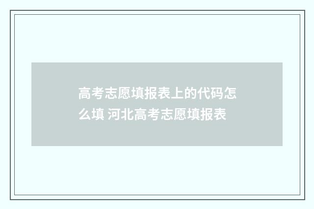 高考志愿填报表上的代码怎么填 河北高考志愿填报表