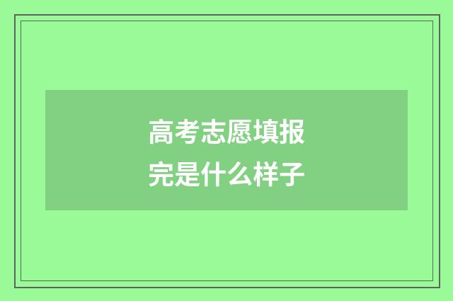 高考志愿填报完是什么样子