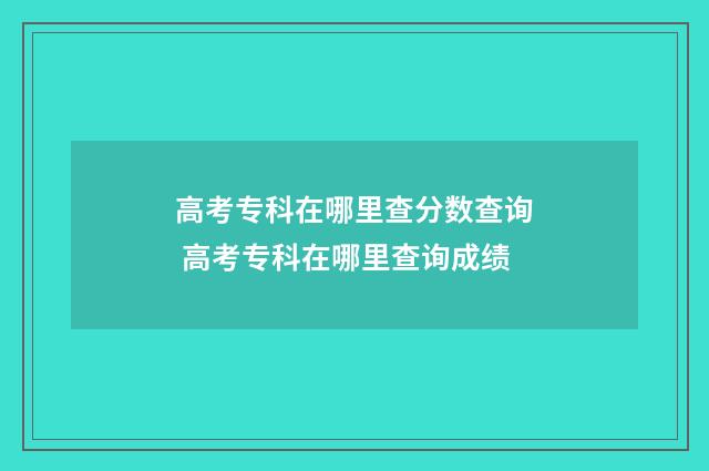 高考专科在哪里查分数查询 高考专科在哪里查询成绩