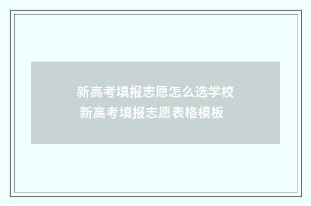 新高考填报志愿怎么选学校 新高考填报志愿表格模板