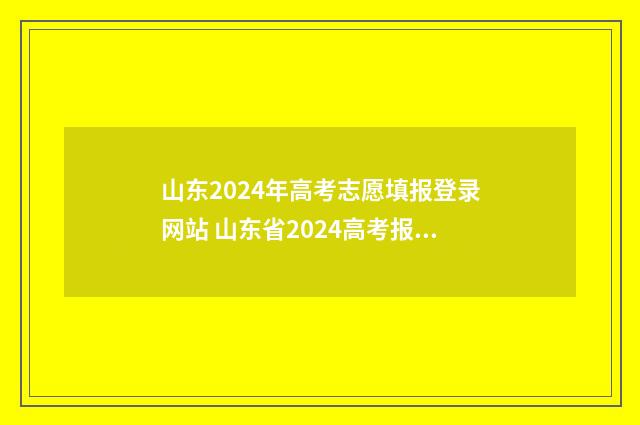 山东2024年高考志愿填报登录网站 山东省2024高考报名网站入口官网