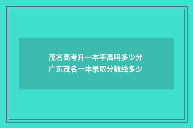 茂名高考升一本率高吗多少分 广东茂名一本录取分数线多少