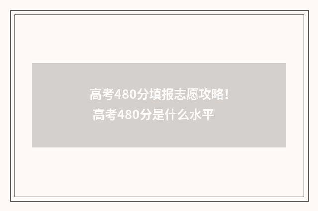 高考480分填报志愿攻略！ 高考480分是什么水平