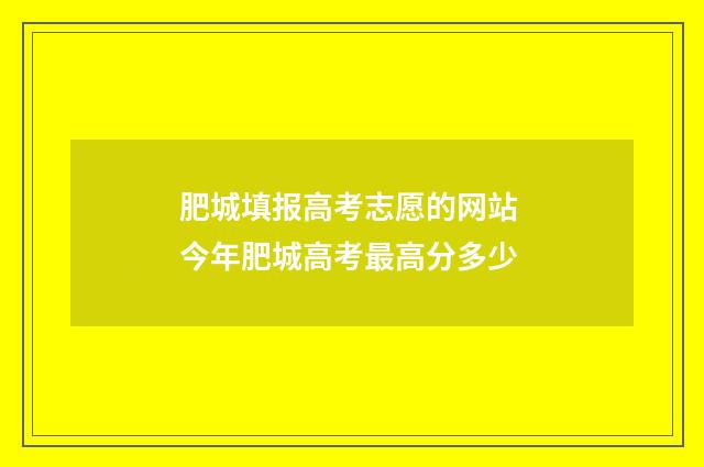 肥城填报高考志愿的网站 今年肥城高考最高分多少