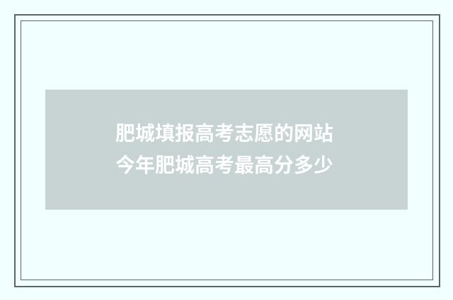 肥城填报高考志愿的网站 今年肥城高考最高分多少