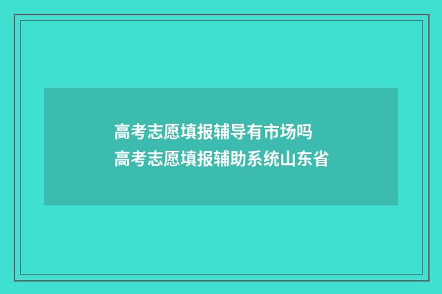 高考志愿填报辅导有市场吗 高考志愿填报辅助系统山东省