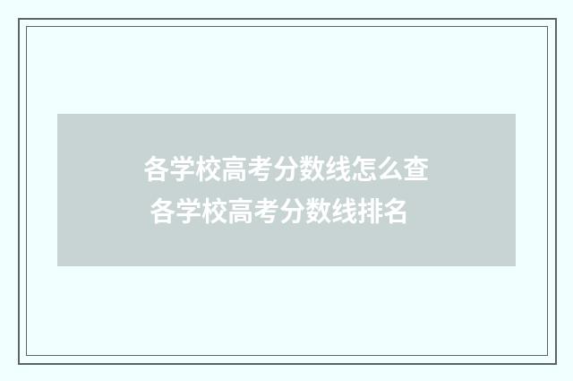 各学校高考分数线怎么查 各学校高考分数线排名