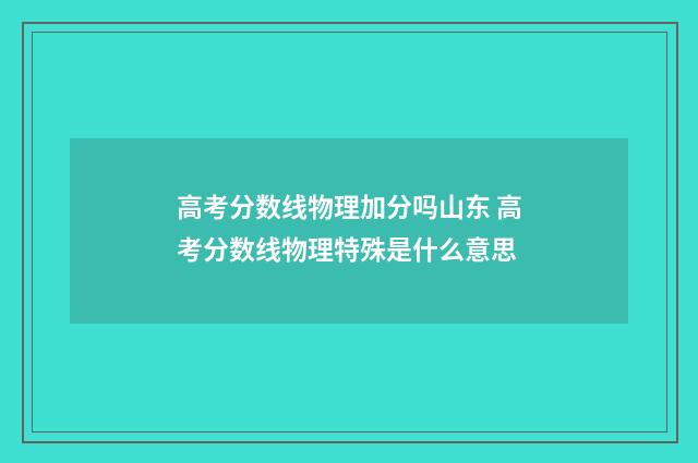 高考分数线物理加分吗山东 高考分数线物理特殊是什么意思