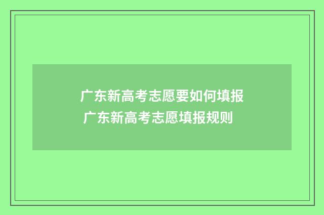 广东新高考志愿要如何填报 广东新高考志愿填报规则