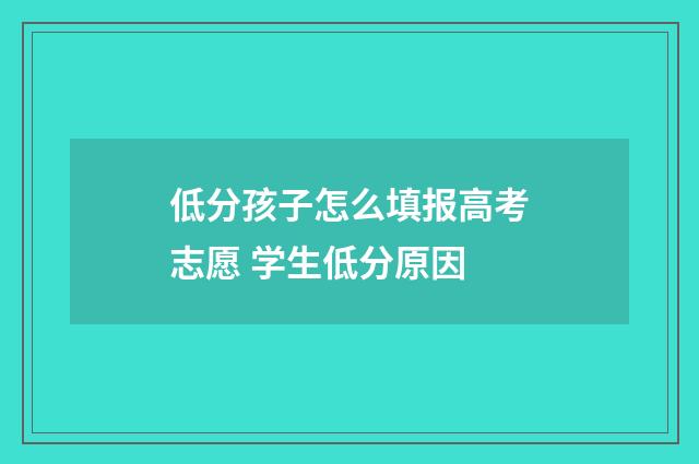 低分孩子怎么填报高考志愿 学生低分原因
