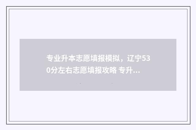 专业升本志愿填报模拟,辽宁530分左右志愿填报攻略 专升本填志愿怎么填
