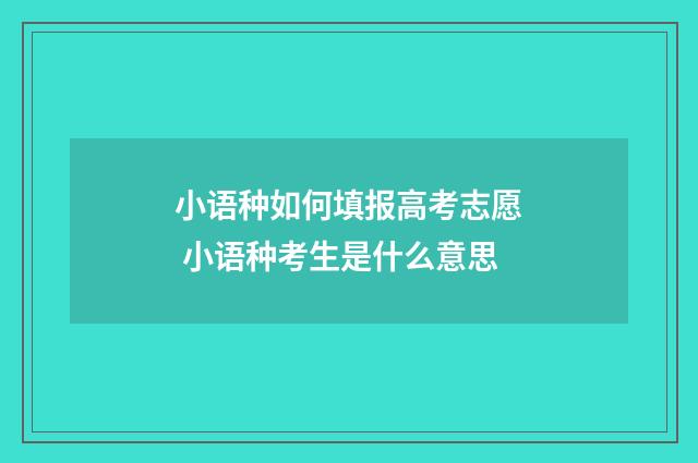 小语种如何填报高考志愿 小语种考生是什么意思