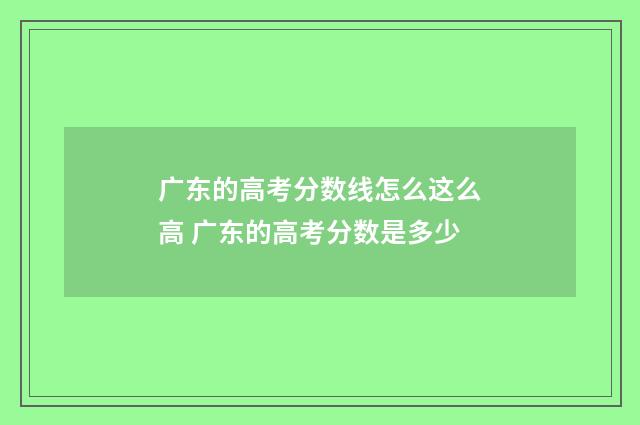 广东的高考分数线怎么这么高 广东的高考分数是多少