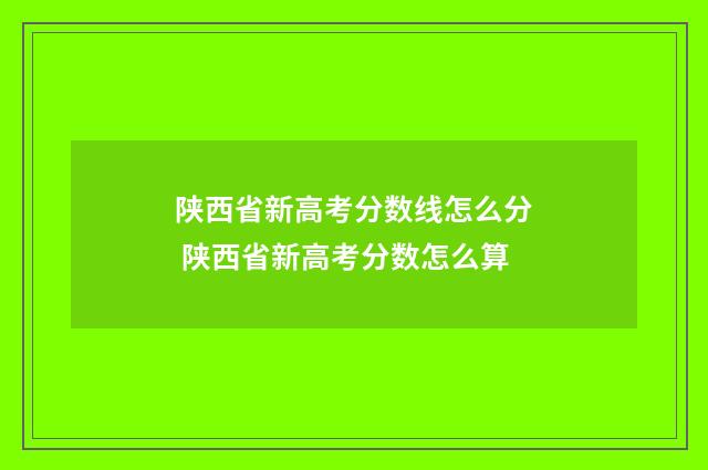 陕西省新高考分数线怎么分 陕西省新高考分数怎么算