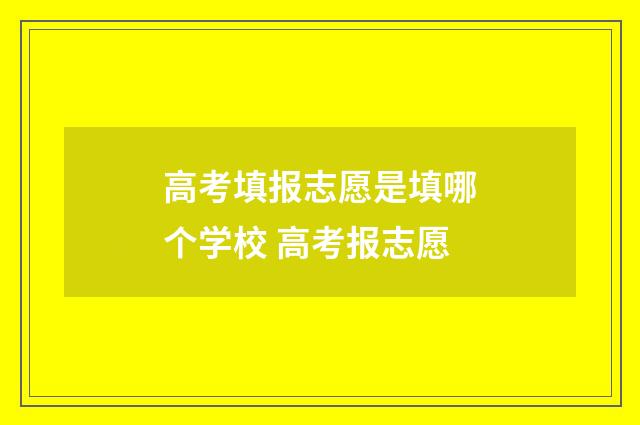 高考填报志愿是填哪个学校 高考报志愿