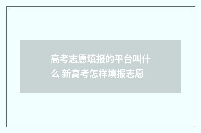高考志愿填报的平台叫什么 新高考怎样填报志愿
