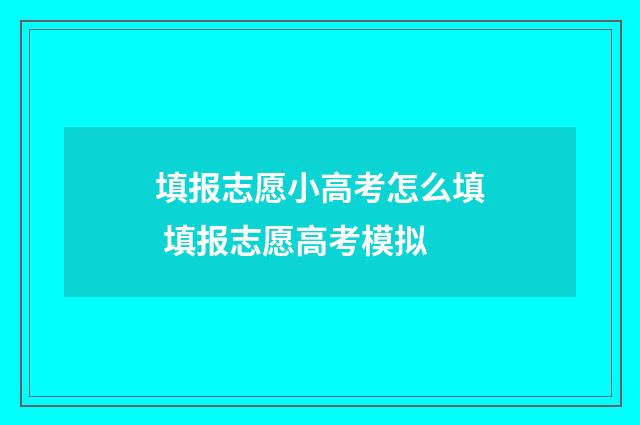 填报志愿小高考怎么填 填报志愿高考模拟